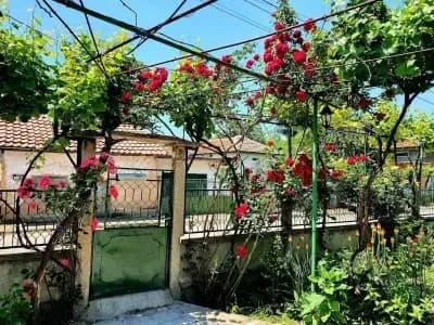 Градината с цветя и рози в къща за гости „Вая“